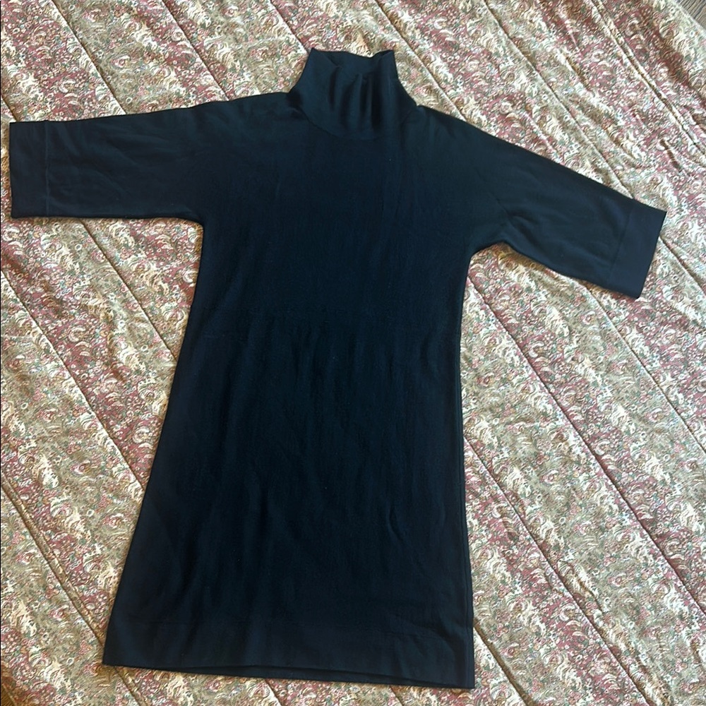 Eileen Fisher Black Turtleneck Dress